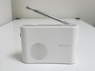 ICF-51 レビュー - MukuLog