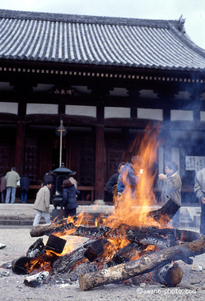 マミヤセコール100mm F3.5 (プレス用)／マミヤプレスファンクラブ