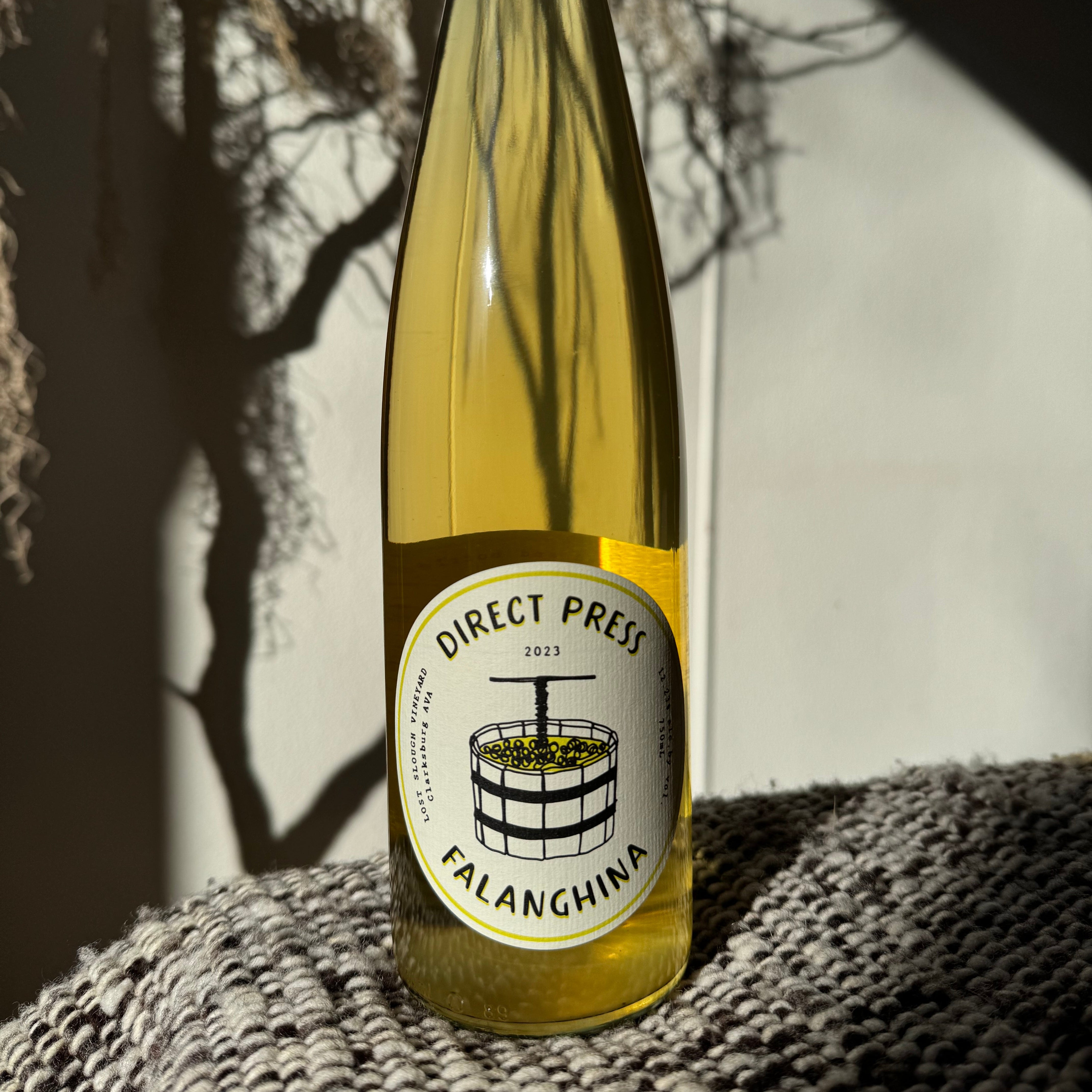 2023 Direct Press Falanghina – Matt Crutchfield Wines
