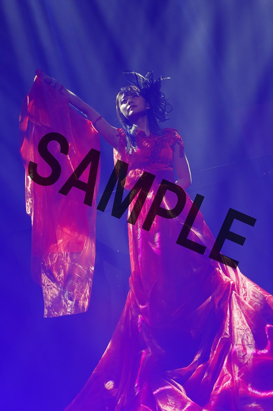 MIMORI SUZUKO 5th Anniversary Live『five tones』DVD | mimorin.com