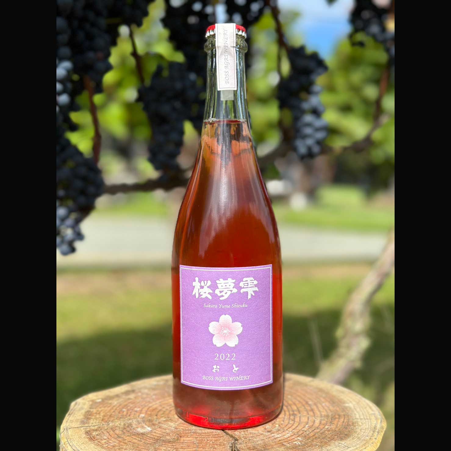 北海道産】桜夢雫 おと / 辛口 ロゼのお取り寄せ【ボス アグリ