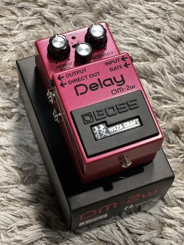 Boss DM-2W Waza Craft Delay Pedal – nafiriguitar.com