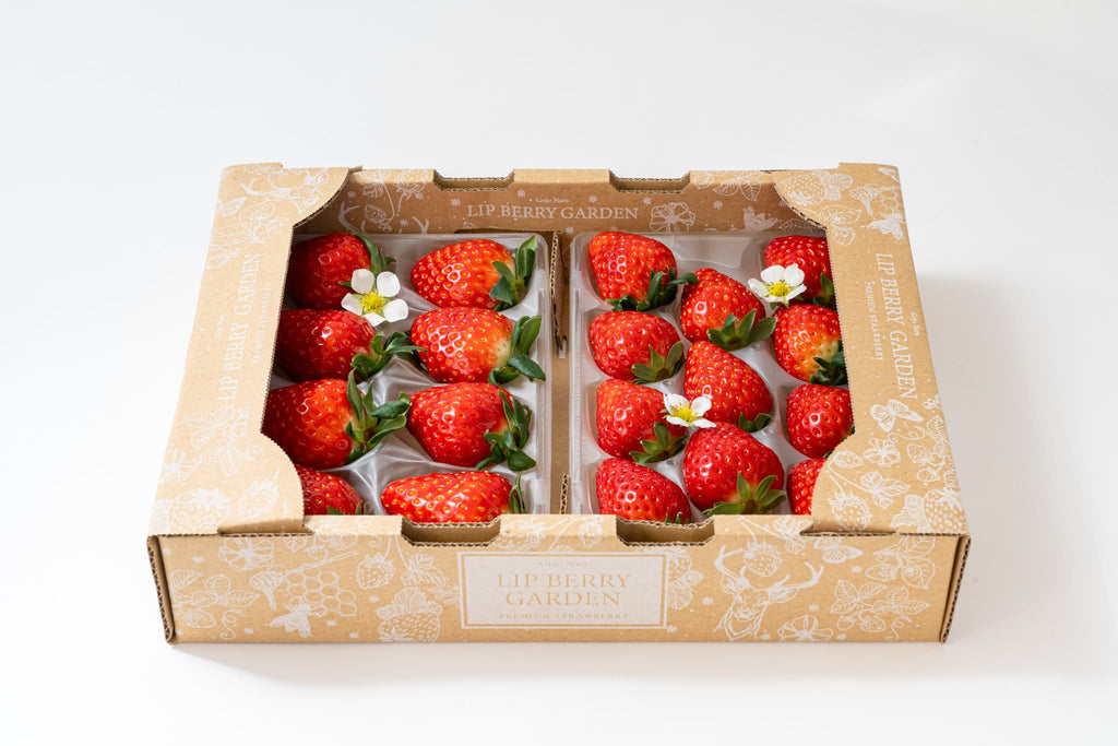 Lip～幸せいちご園～】古都華 送料無料 ならわし Narawashi 奈良 通販