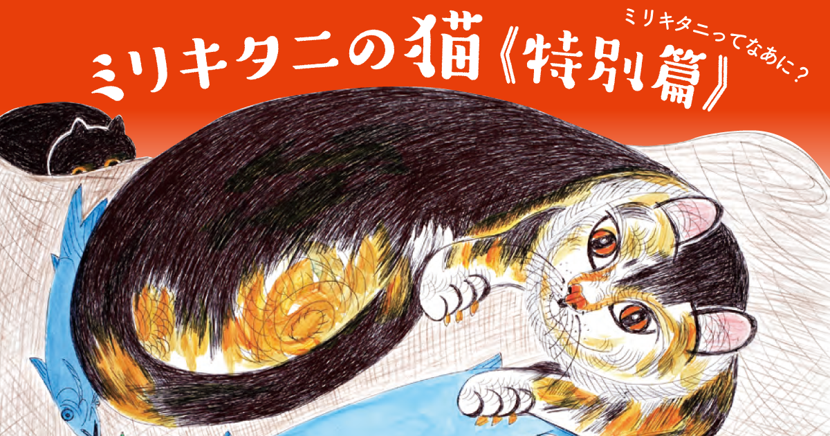細川さん作品、タイタニックの猫 ミリキタニの猫』の紹介｜作品紹介