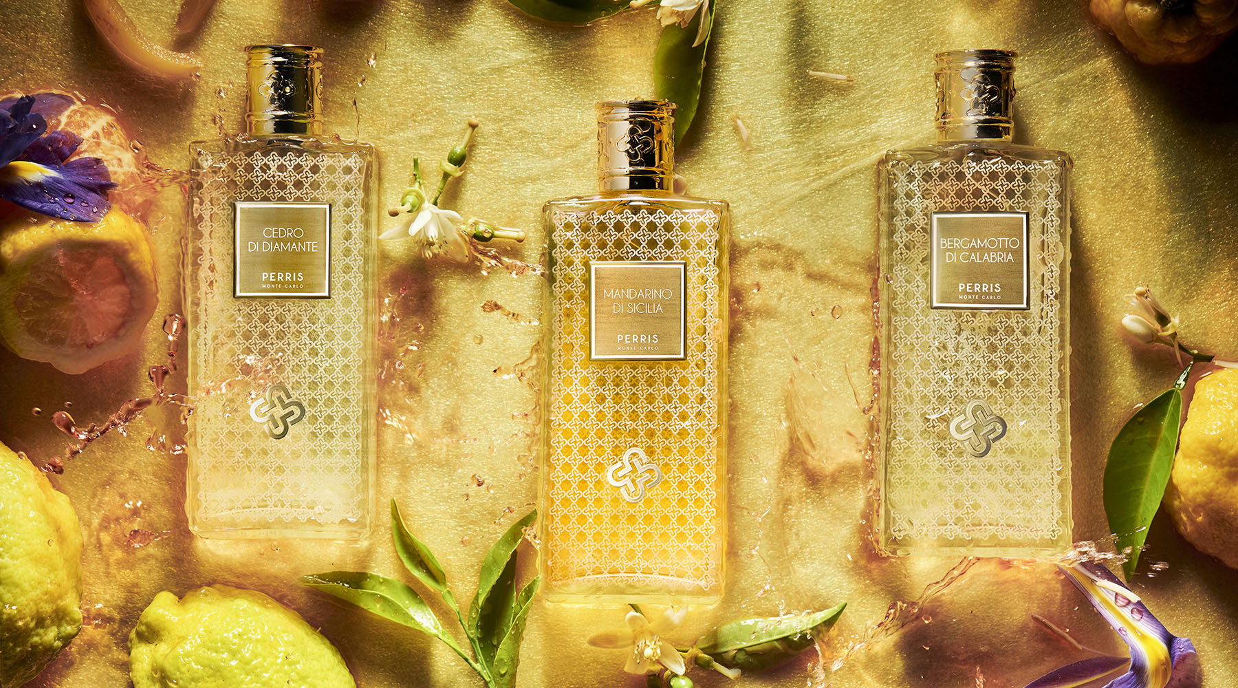 00_ITALY_COLLECTION.jpg?v=