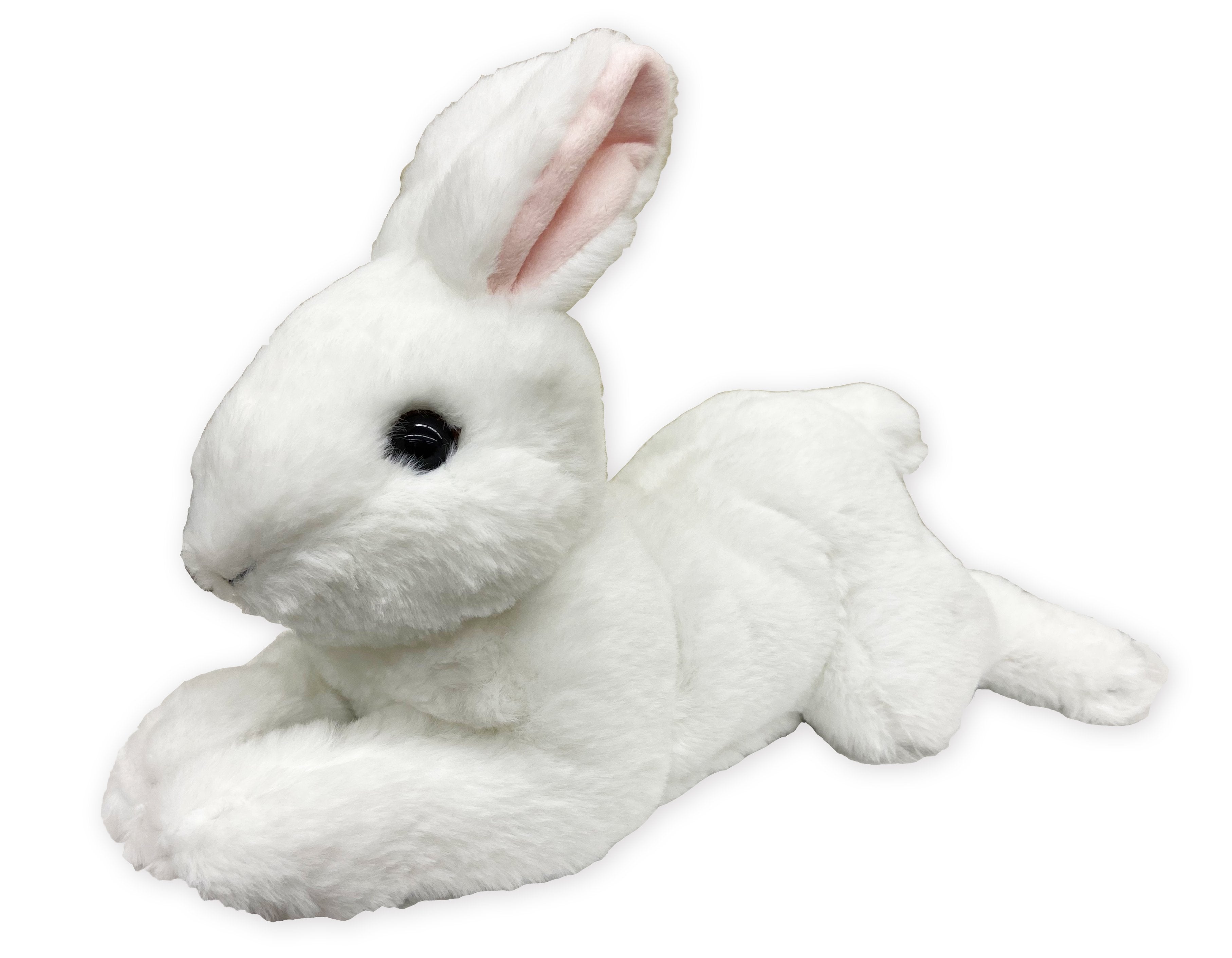 ひざうさぎ – OLYMPIA公式オンラインショップ