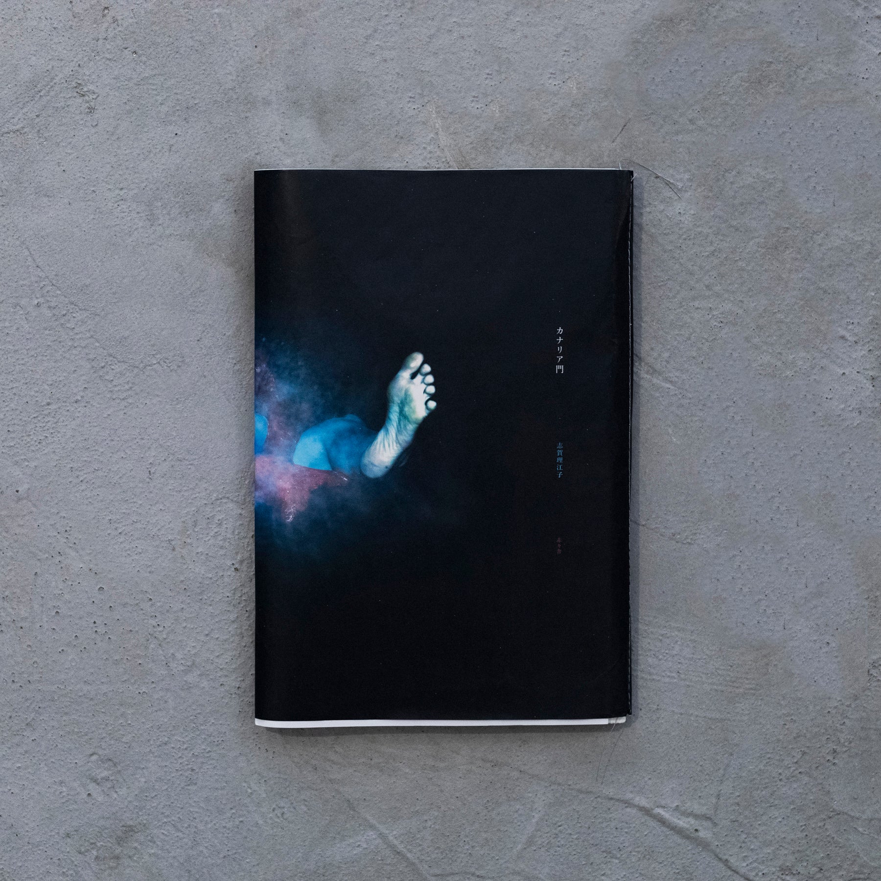 D4_4078_1.jpg?v=1671624964