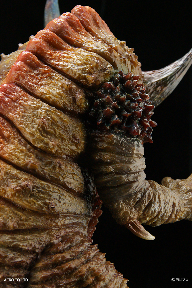 KRS×NIRASAWA ゴモラ | ACRO