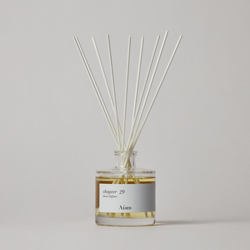 ディフューザー チャプター29