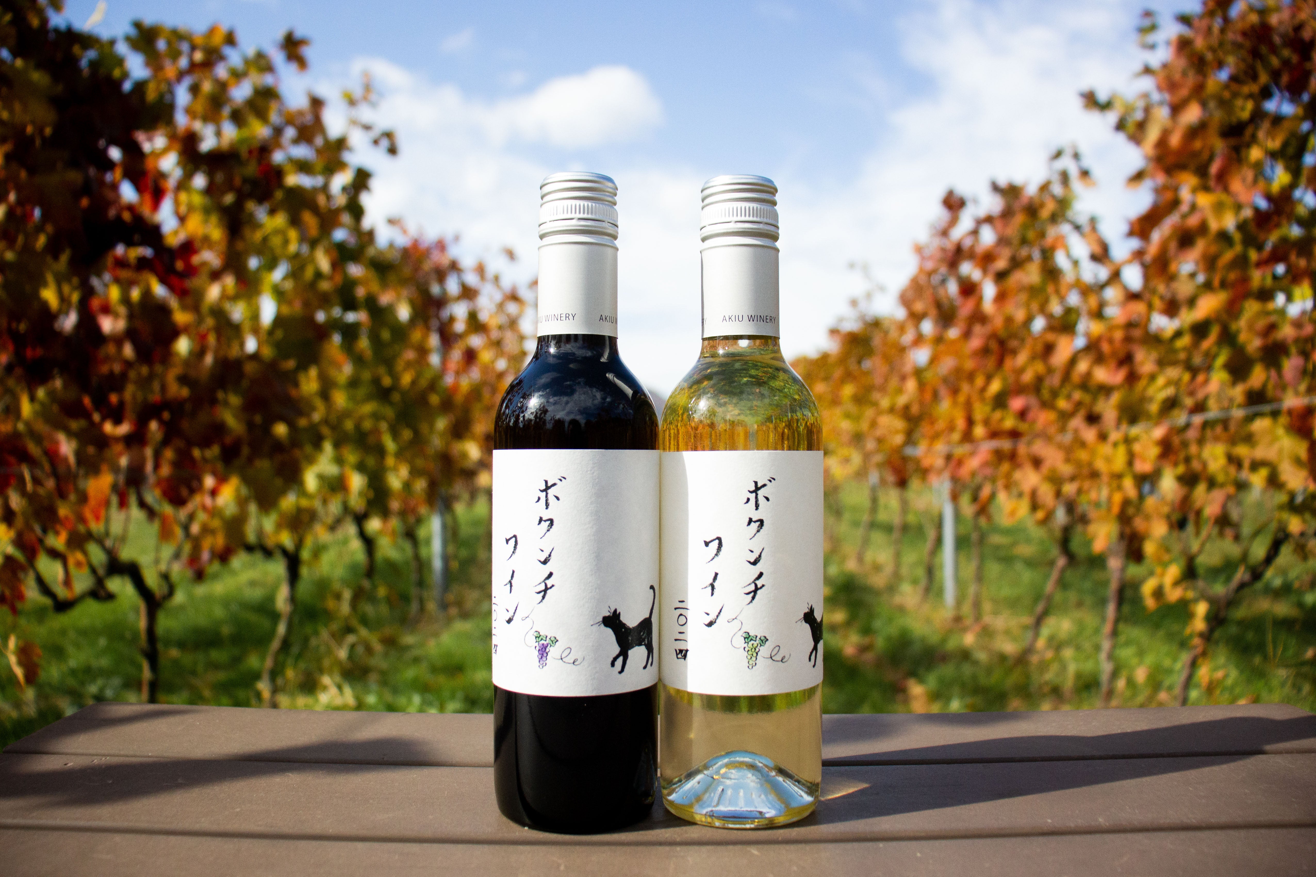 完売】??RADWIMPS ボクンチワイン 二〇二四 （赤・白セット） ※11月29