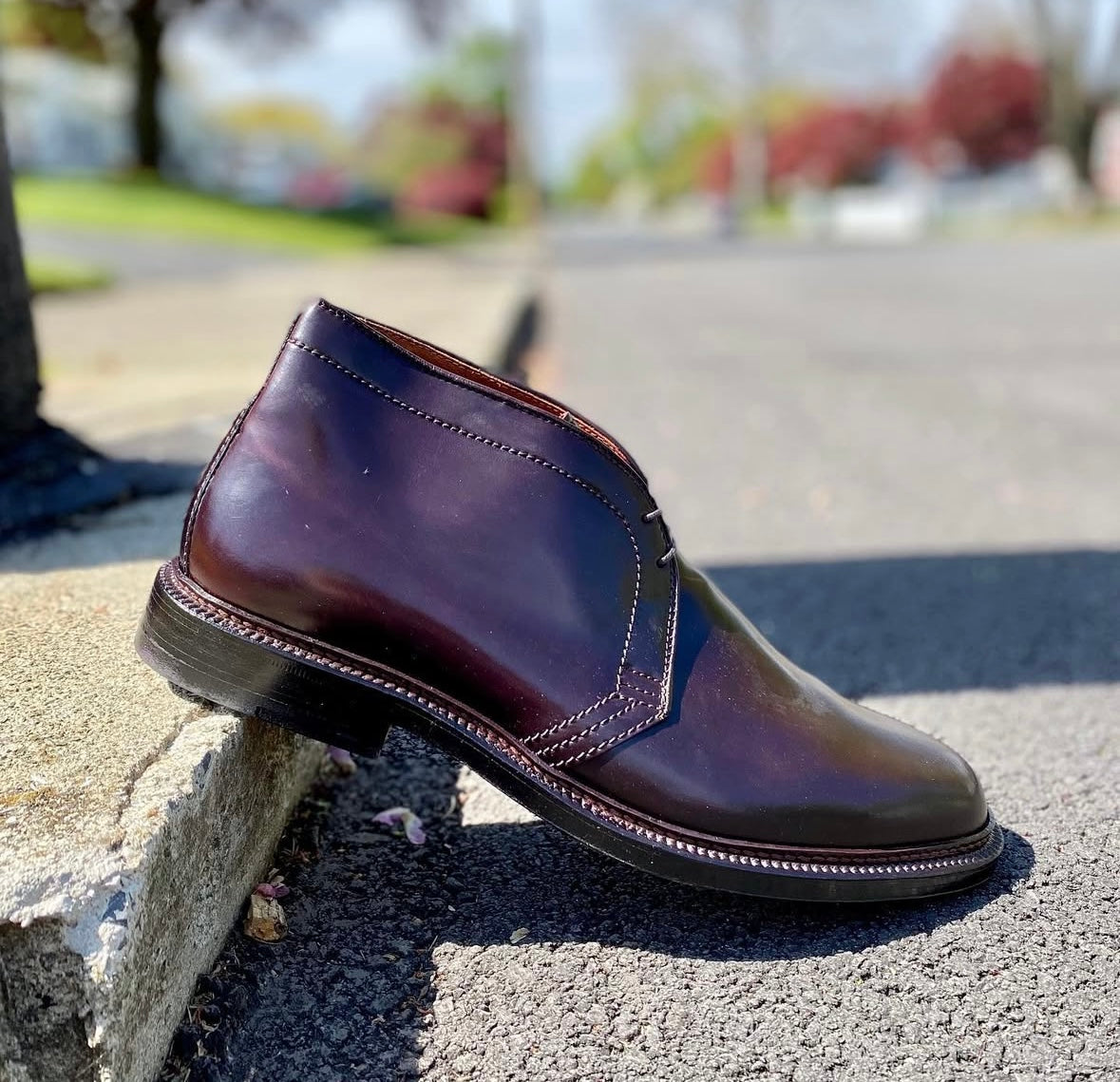 1339 - Chukka Boot in Color 8 Shell Cordovan – ALDEN SHOES
