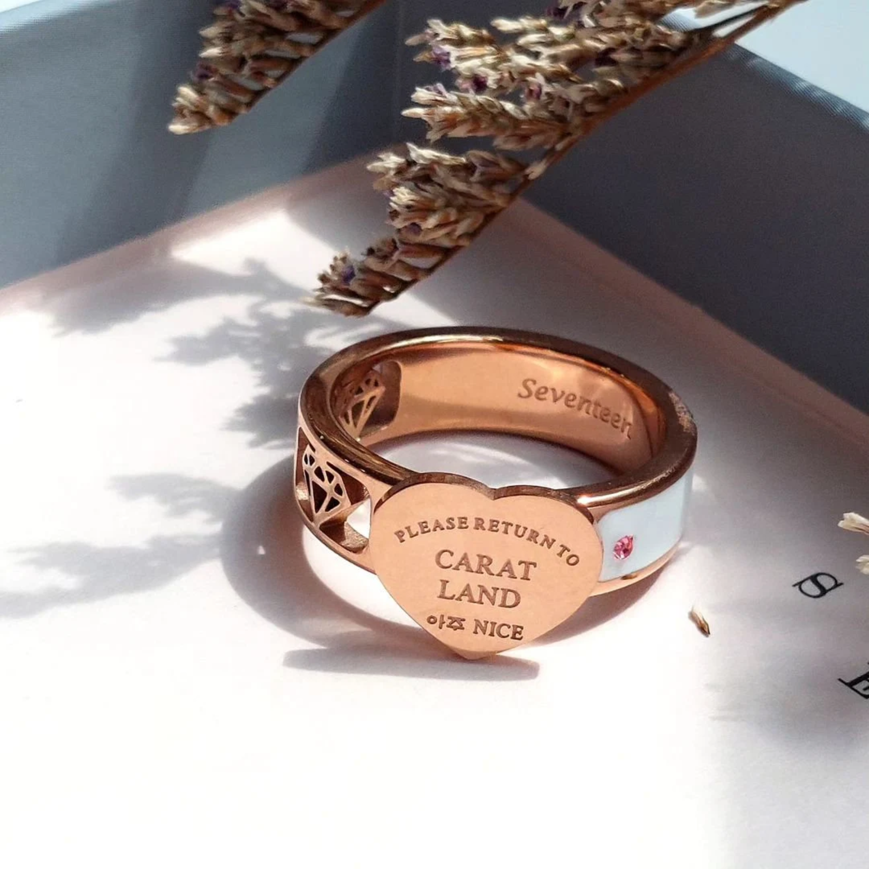 Seventeen Carat Land rings – anpinmanz