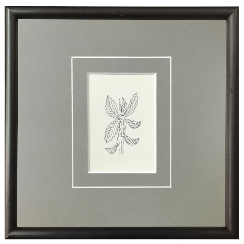 ☆坂本直行☆「ハンノキの実」ペン画 径145mm円 ☆坂本直行