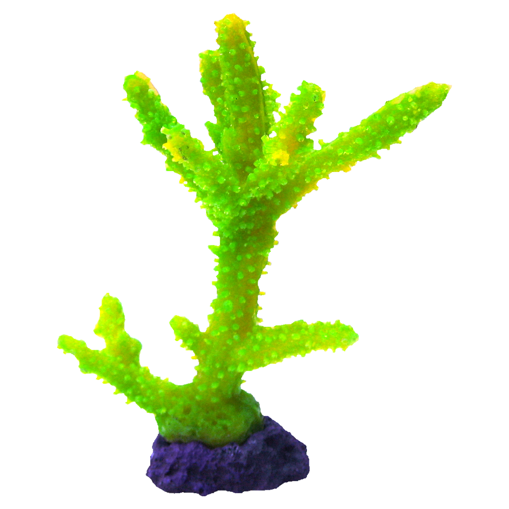 装飾珊瑚 彩り豊かでリアルな飾り珊瑚 - 株式会社スプリング