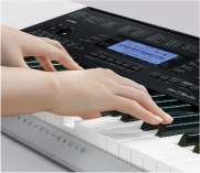 WK-220 - ベーシックキーボード - 電子楽器 - CASIO