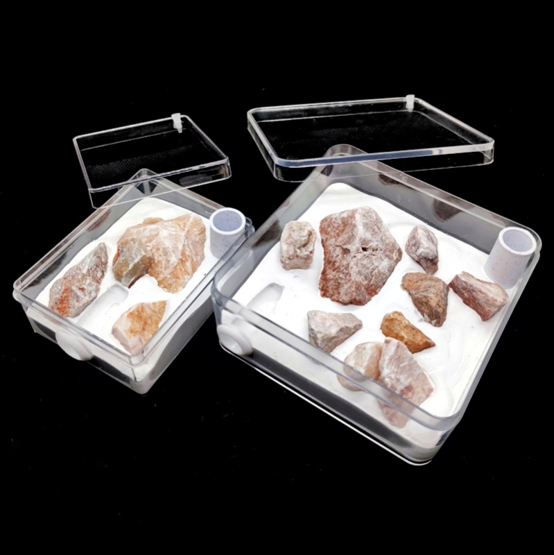 改良型】天然石入り平型石膏巣｜給水時に幼虫や卵が水没しない | ありぐら