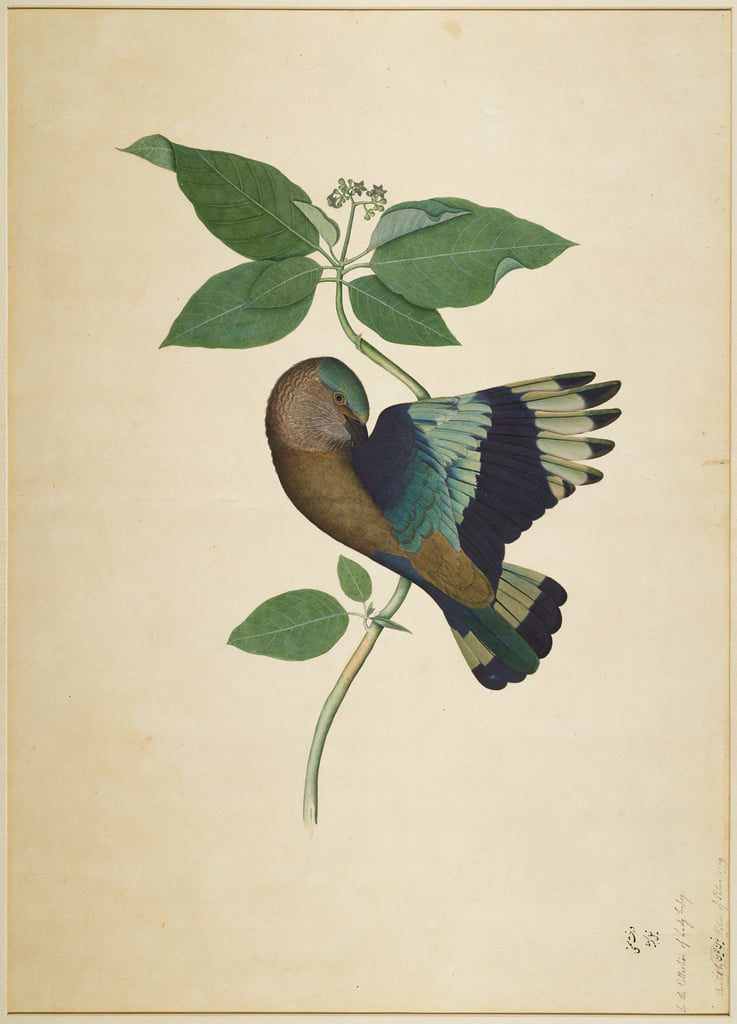 アル・カシール – Officine Universelle Buly - Japan