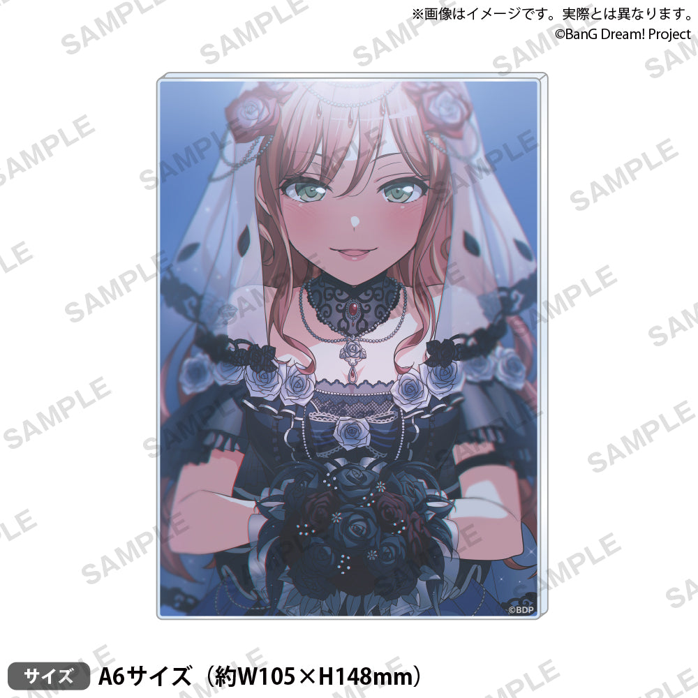 信澤収展アクリルパネル BanG Dream! 「今井リサ」｜ブシロード
