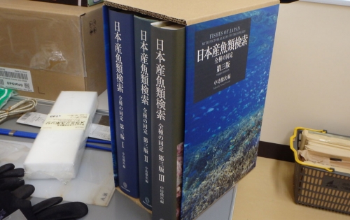 欲しい本「日本産魚類検索」 | 宮崎で釣り。たまには遠征したい！