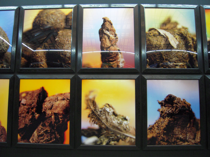 Andres Serrano /アンドレ セラノ「Shit」 | フランスアート界底辺日記