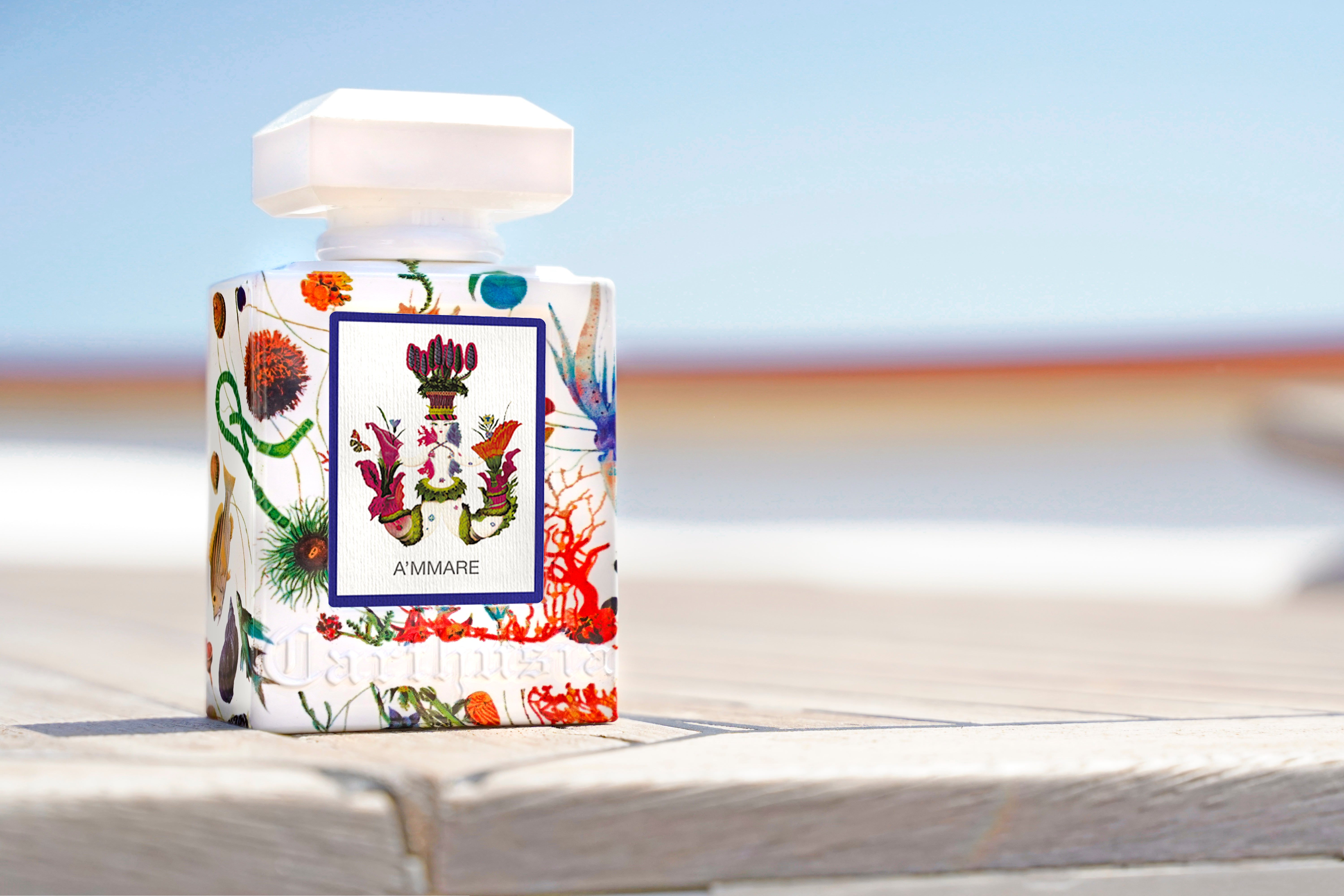 A'MMAREアマーレ – Carthusiaオンラインストア