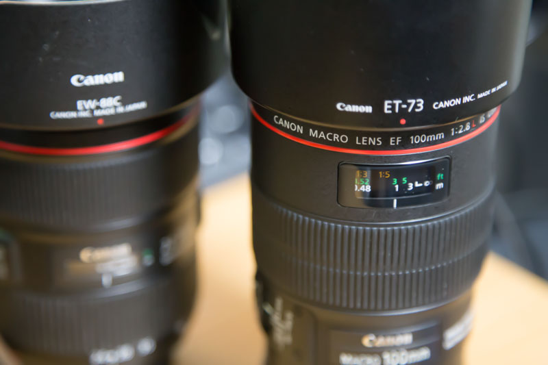 万能標準ズーム、EF24-105mm F4L IS USMについて - Music Box