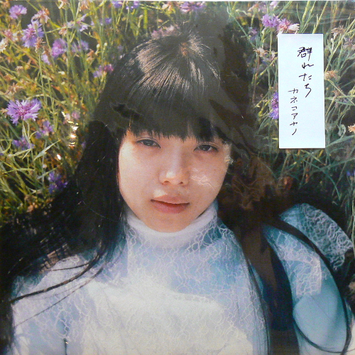 カネコアヤノ / 群れたち | COCONUTS DISK KICHIJOJI
