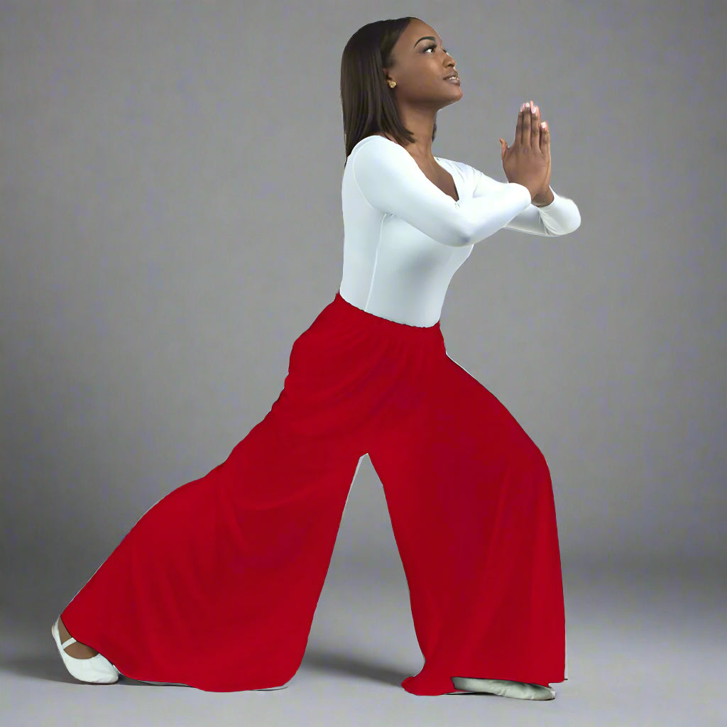 Danzcue Celebration of Spirit Palazzo Pants – Danzia
