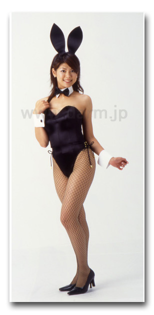 バニー バニーガール 通販 ビギナータイプ アトリエ ダーム