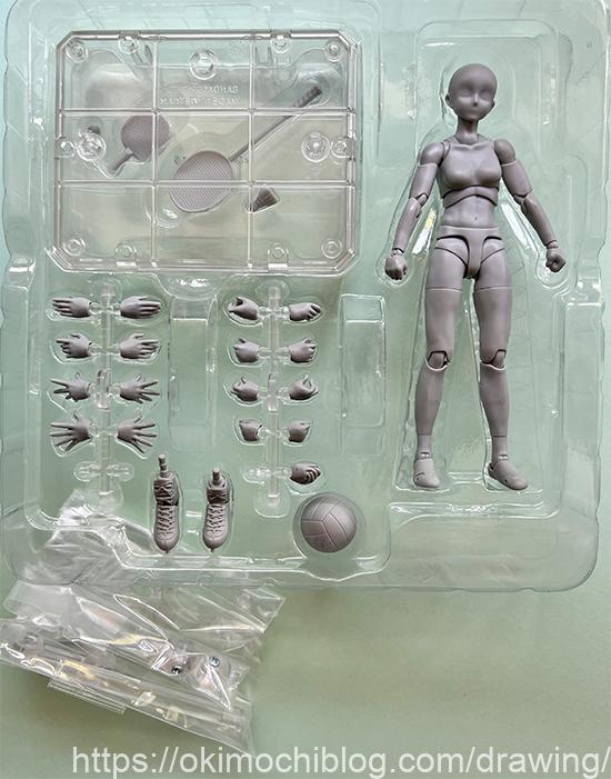 人気モデル用デッサンフィギュア「ボディちゃん」「ボディくん」を買っ