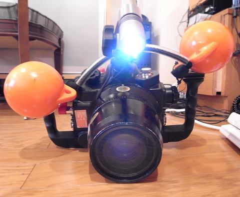 初めての水中一眼レフカメラ ハウジングをセットする - 美しい海が永遠