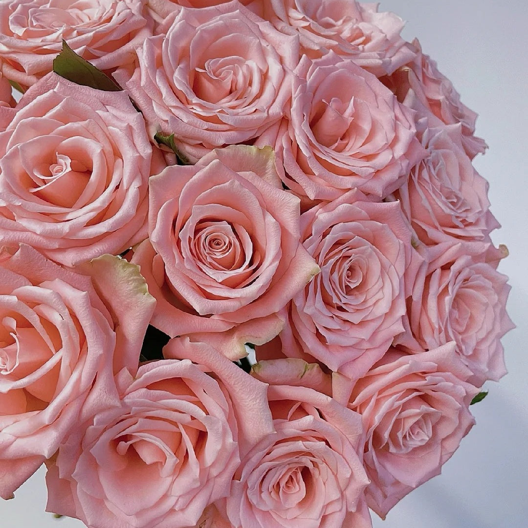 Almond Nougat Rose-杏仁奶糖 | Chinese Cut Roses – Ergongzy Roses
