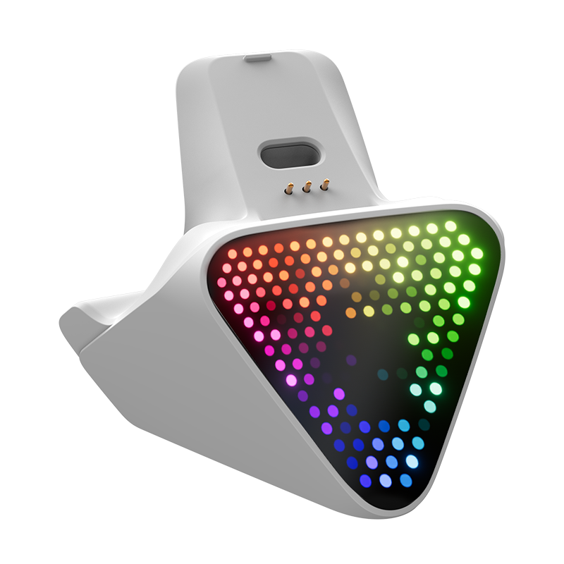 Dock 2 Pro for The Flydigi Apex 5 and Vader 5 Pro – FLYDIGI