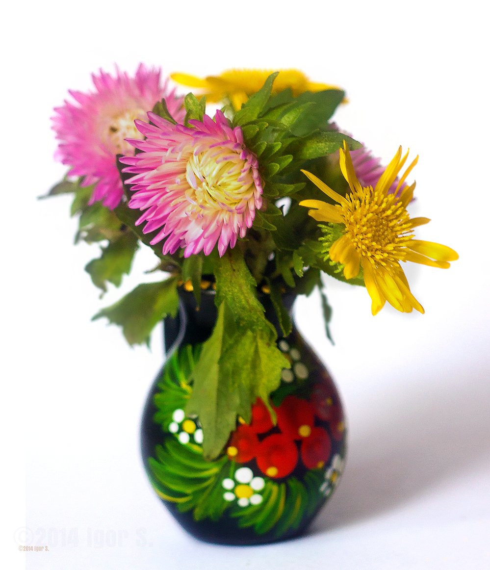 Kodak Ektar 101mm f/4.5 on NEX7