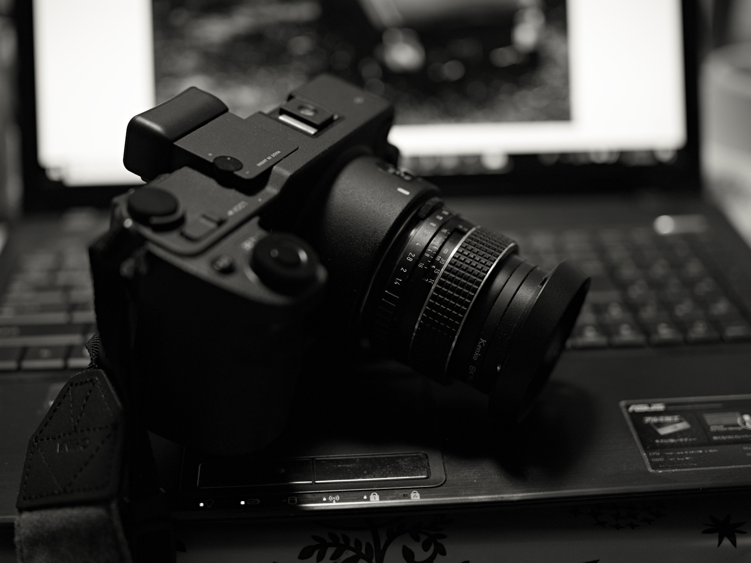 SMC TAKUMAR 50mm F1.4: 薔薇迷写真・放送部