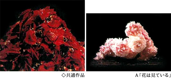 特装本 】中川幸夫作品集 魔の山