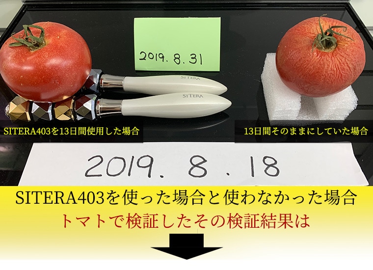 ケイ素鉱石でできた美顔ローラー『SITERA403』 / 渋谷トレンド公式
