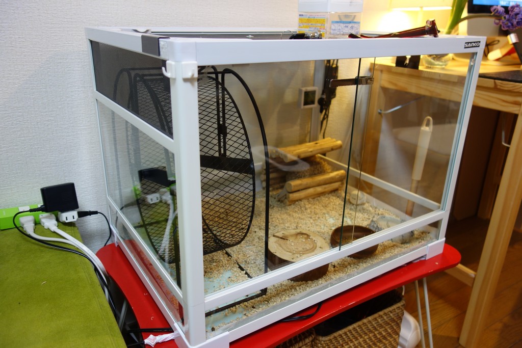 使用感】ハリネズミ用ガラスケージにパンテオンを使ってみた | 我が家