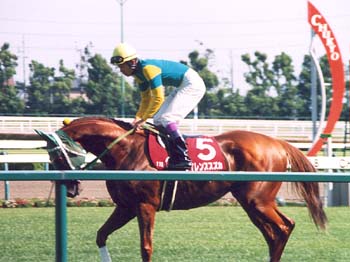 サイレンススズカ金鯱賞