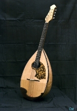 リウテリア野口（野口・大野マンドリン）～マンドリン・ギターの専門店