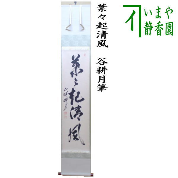 茶器/茶道具 掛軸（掛け軸）】 一行 葉々起清風 谷耕月筆 （正眼寺