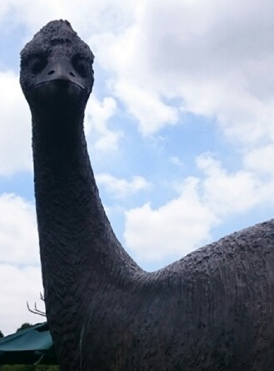 エピオルニス | 萌萌虫雑記帳