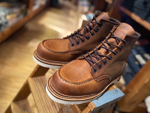 定番ではないアイリッシュセッター！！レッドウイングの1907