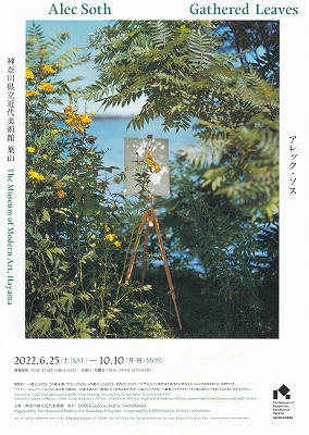アレック・ソス Gathered Leaves」 | 青い日記帳