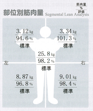 インボディ InBody 470 の結果用紙の見方 | インボディ（InBody）