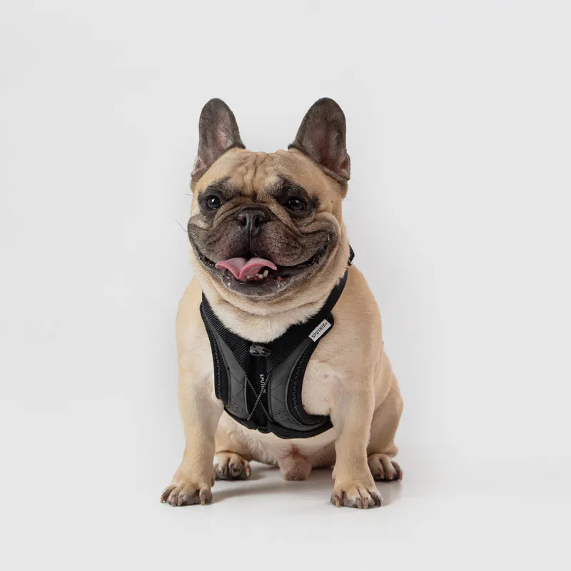 体に優しいシリーズ】UXハーネス ブラック / Ultra Explore Harness