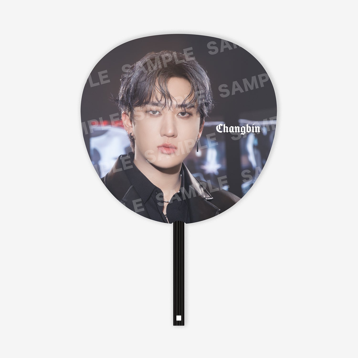 IMAGE PICKET - Changbin / Stray Kids『Stray Kids World Tour