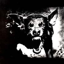 THE EXECUTE / ザ・エクスキュート ページ-