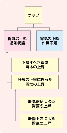 中医弁証 臨床マニュアル VI 脾胃、消化器系疾患 消化器内視鏡ハンドブック 改訂第3版 – 医学図書出版