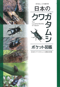 月刊むし 増刊号
